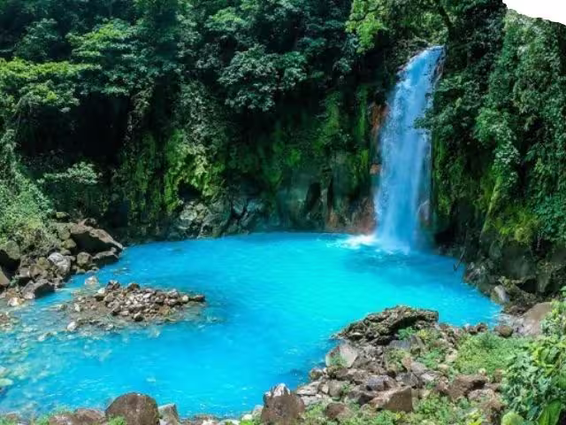 Guided day hike to Rio Celeste waterfall and Tenorio Volcano National Park